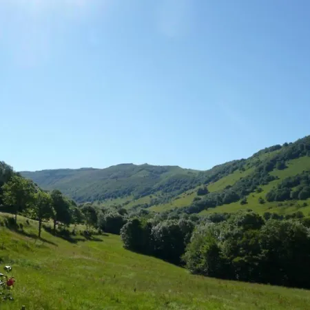 Maison Plain-pied Au Coeur Des Volcans D'auvergne Avec Cheminee Et Parking Prive - Fr-1-742-350 * Saint-Projet-de-Salers